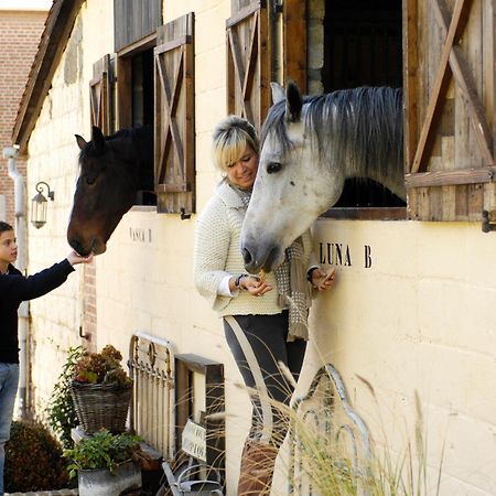 B&B Domaine Villa Bayard Kanne Zewnętrze zdjęcie
