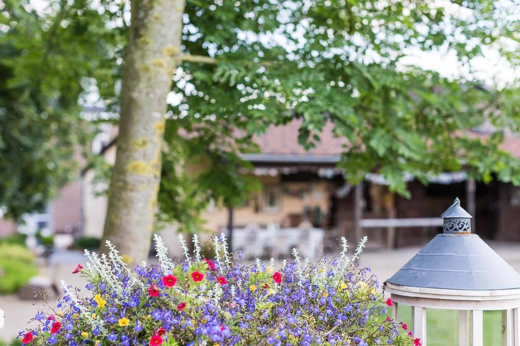 B&B Domaine Villa Bayard Kanne Zewnętrze zdjęcie